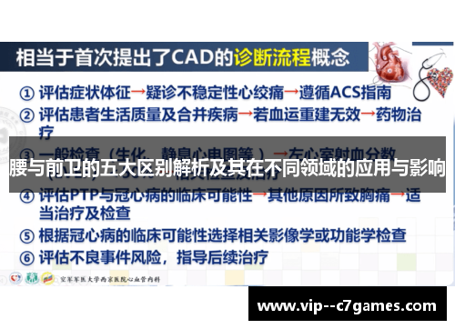 腰与前卫的五大区别解析及其在不同领域的应用与影响 腰与前卫的五大区别解析及其在不同领域的应用与影响
